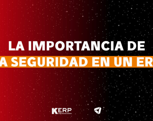 La Seguridad en un ERP