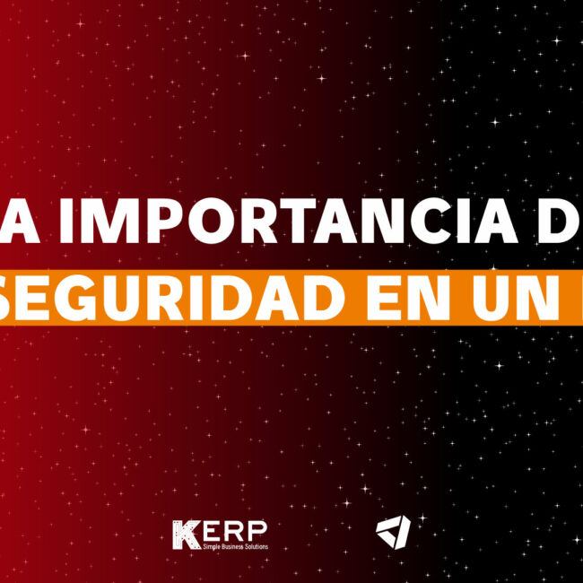 La Seguridad en un ERP